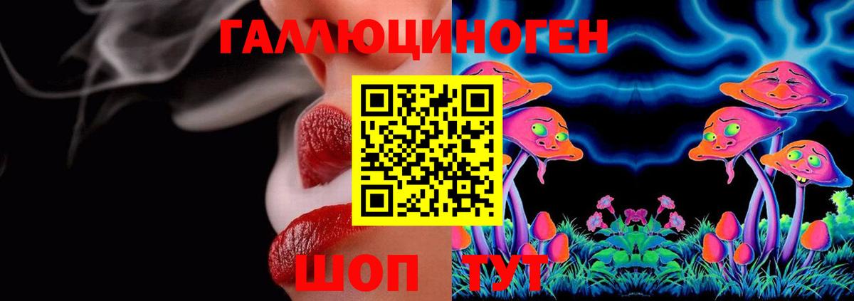 Псилоцибиновые грибы GOLDEN TEACHER  где продают наркотики  Вход с VPN  Лениногорск  Галлюциногенные грибы Magic Shrooms 